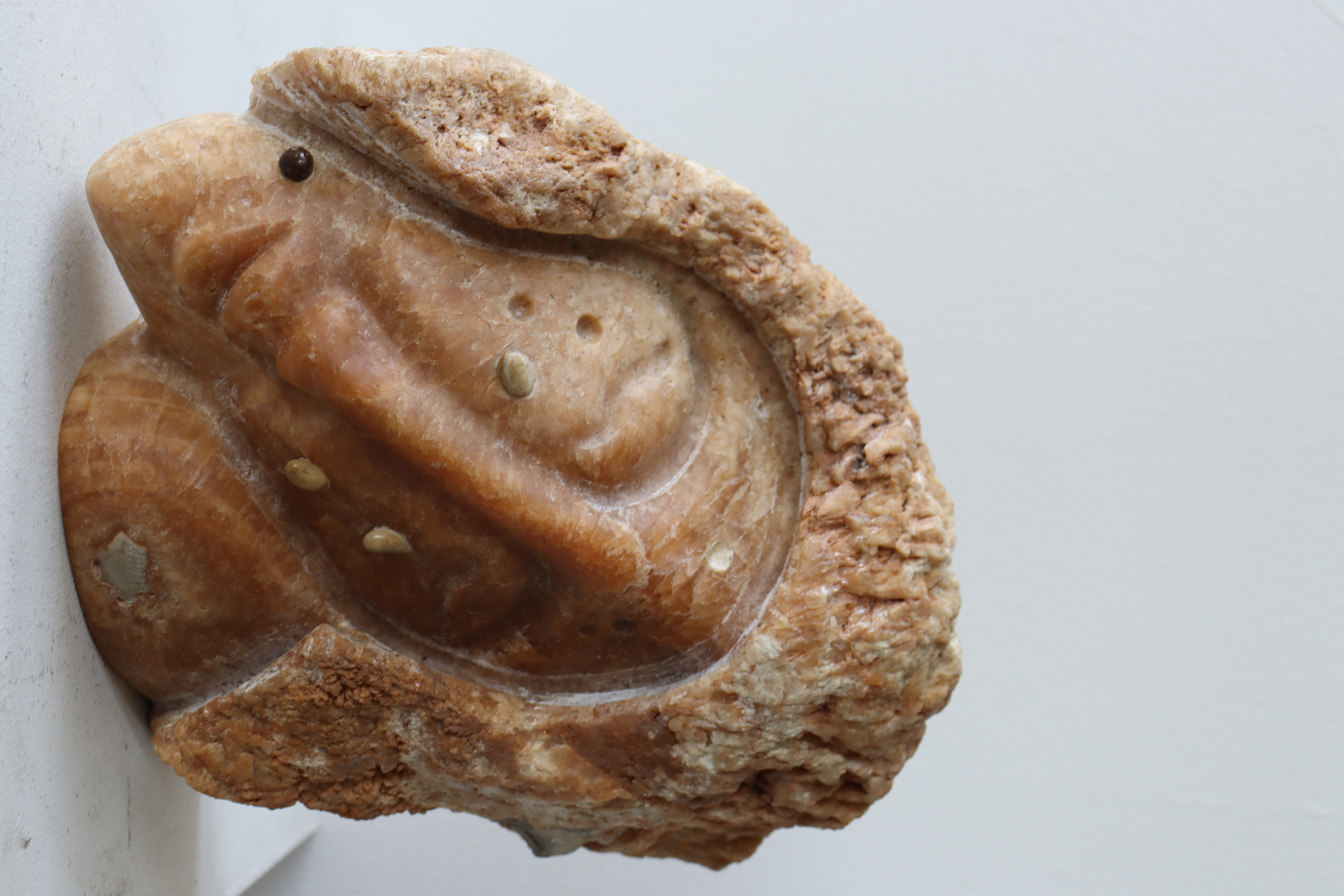 /storage/photos/1/Afif Aga/64.JPG